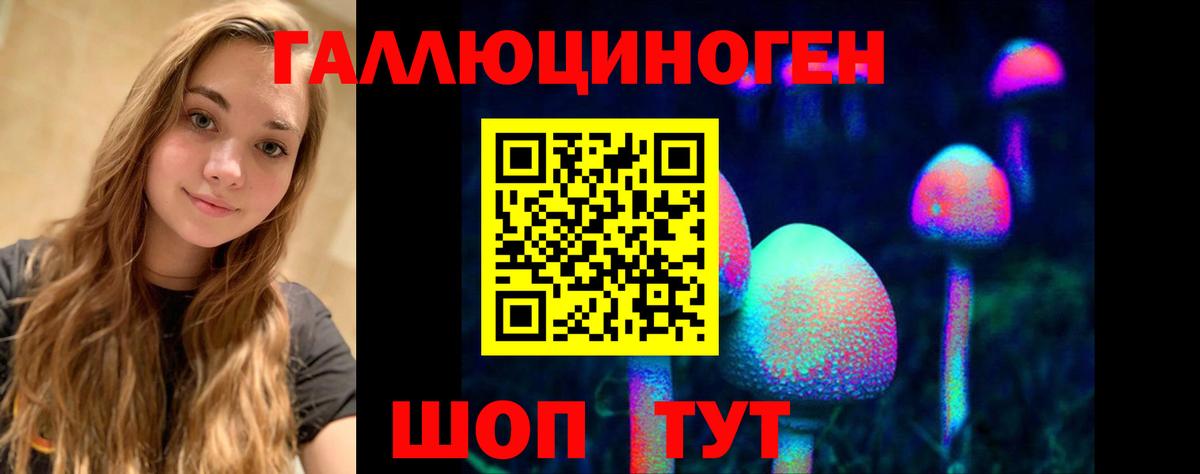 Псилоцибиновые грибы прущие грибы  Псилоцибиновые грибы мицелий  Норильск  хочу   Вход с VPN 